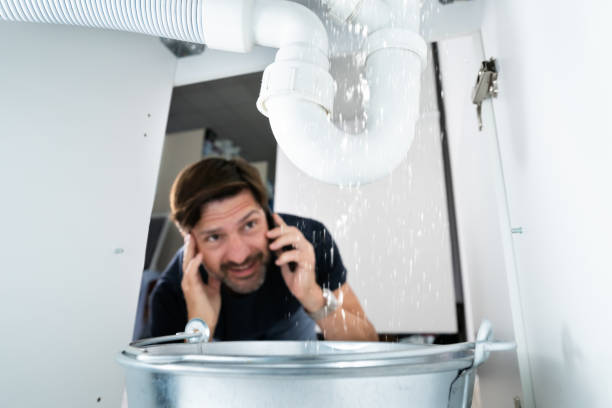 Best Best Plumbers Near Me  in Brier, WA