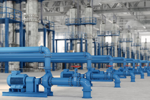 Best Same-Day Plumbing Service  in Brier, WA