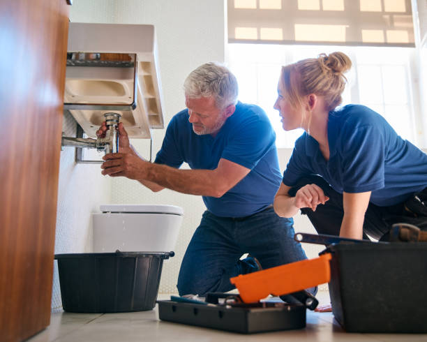 Best Clogged Drain Plumber  in Brier, WA